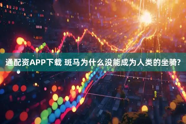 通配资APP下载 斑马为什么没能成为人类的坐骑?