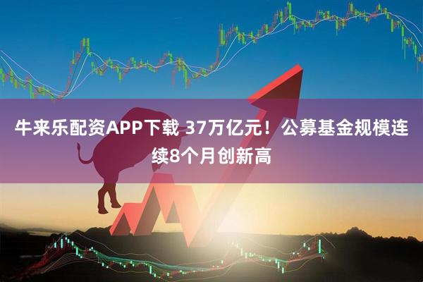 牛来乐配资APP下载 37万亿元！公募基金规模连续8个月创新高