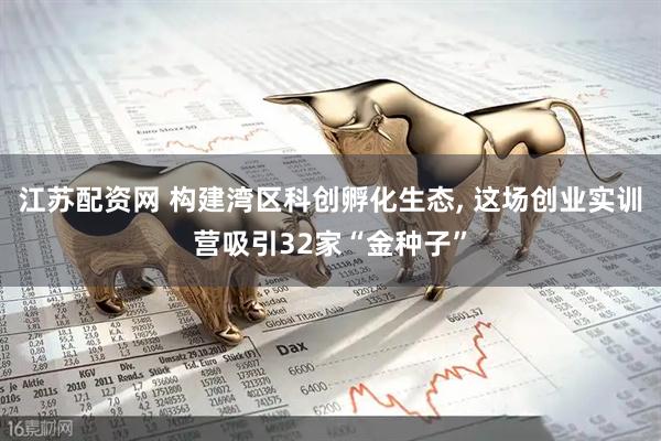 江苏配资网 构建湾区科创孵化生态, 这场创业实训营吸引32家“金种子”